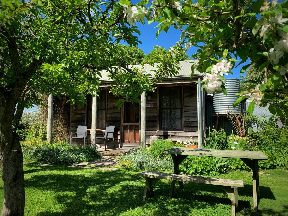 Cherry Plum Cottages ポート・フェアリー エクステリア 写真